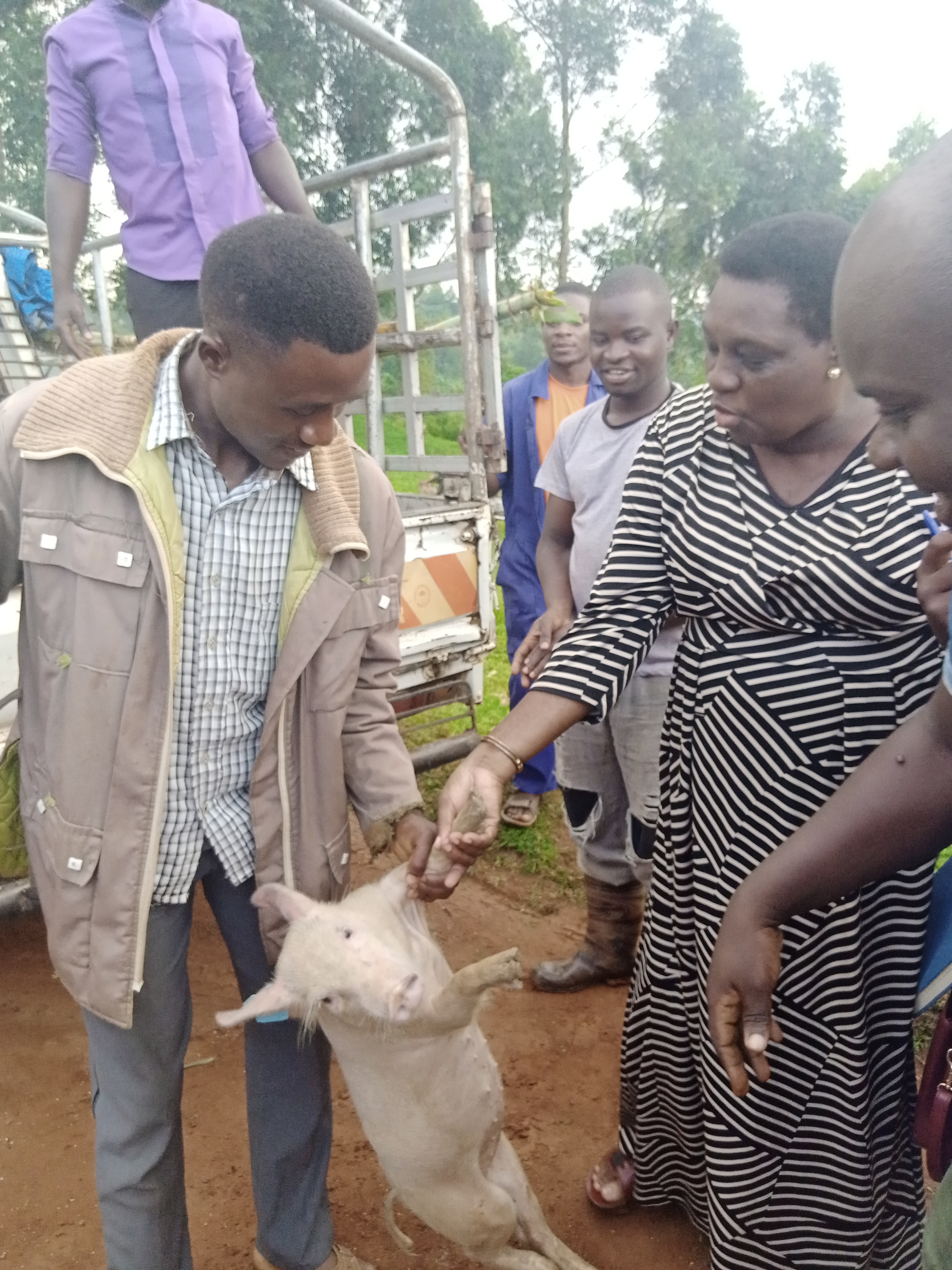 RDC Mrs Byabaisaija Rose Mary lauching the distribution of piglets to the beneficiaries.