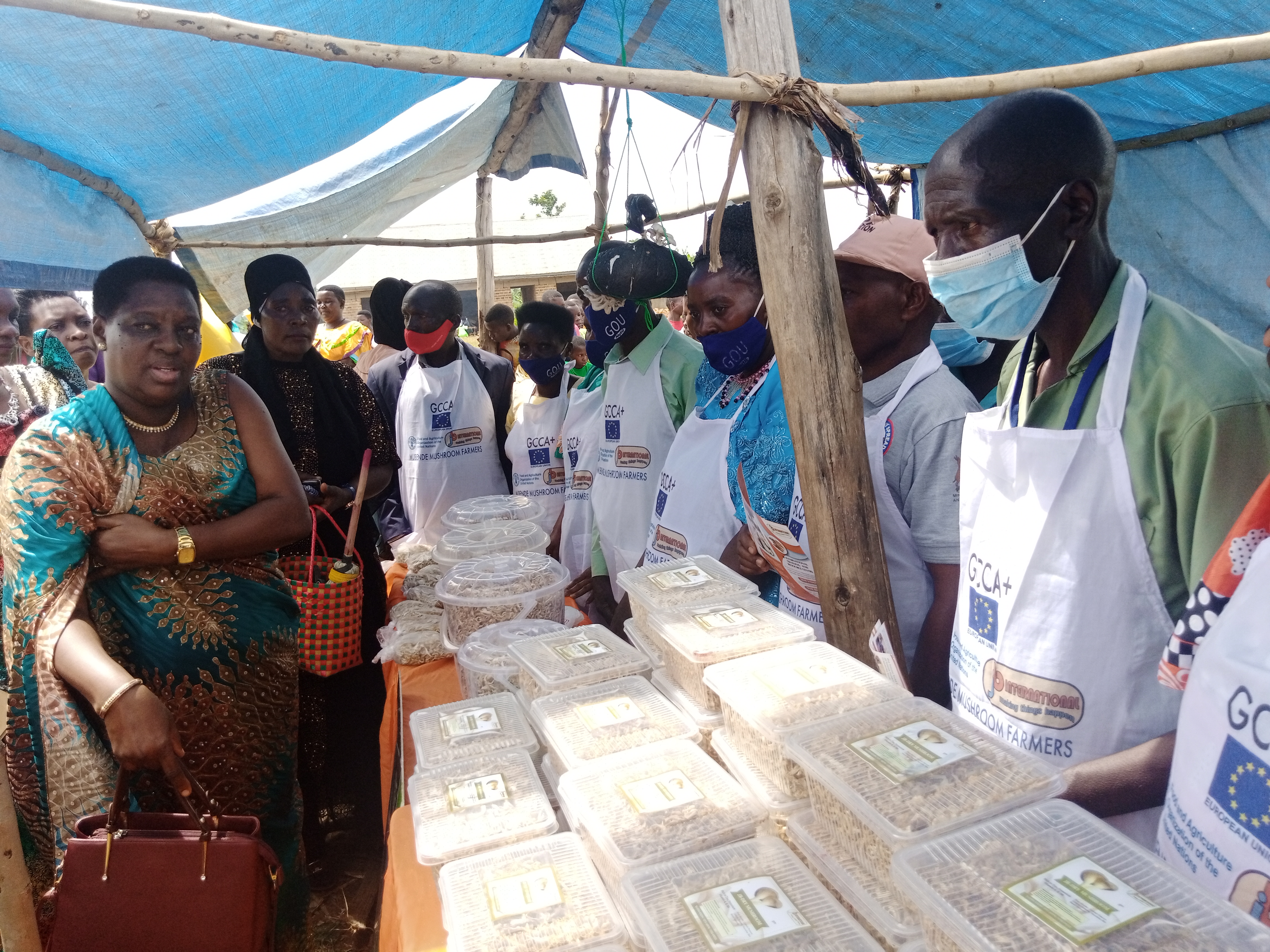 RDC Mrs Byabasaija Rose Mary visiting on of stalls during the Womens Day celebrations at  Kalonga sub county